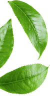 banner shape01