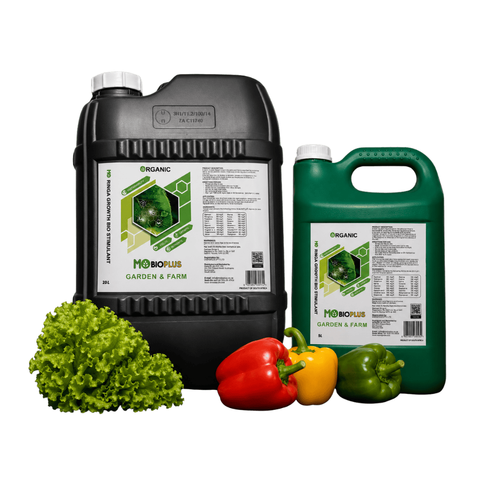 Mobio Health moringa bio stimulants 1