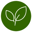 Organic Moringa Bio Stimulants - MO Agri 9 Organic