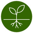Organic Moringa Bio Stimulants - MO Agri 8 Soil Health