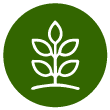 Organic Moringa Bio Stimulants - MO Agri 4 crops