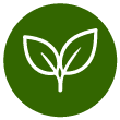 Organic Moringa Bio Stimulants - MO Agri 1 ico23345